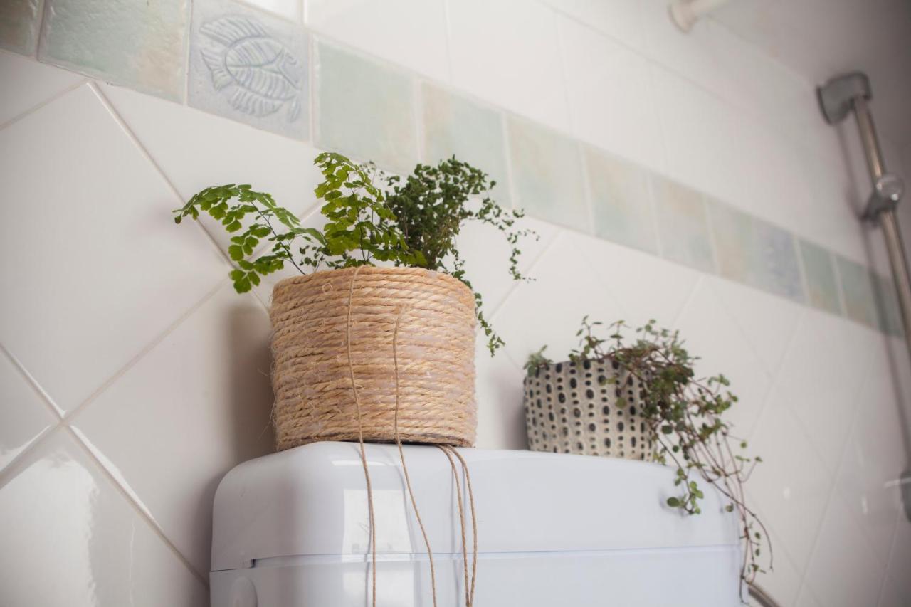 Amarilis Rooms Groznjan Ngoại thất bức ảnh